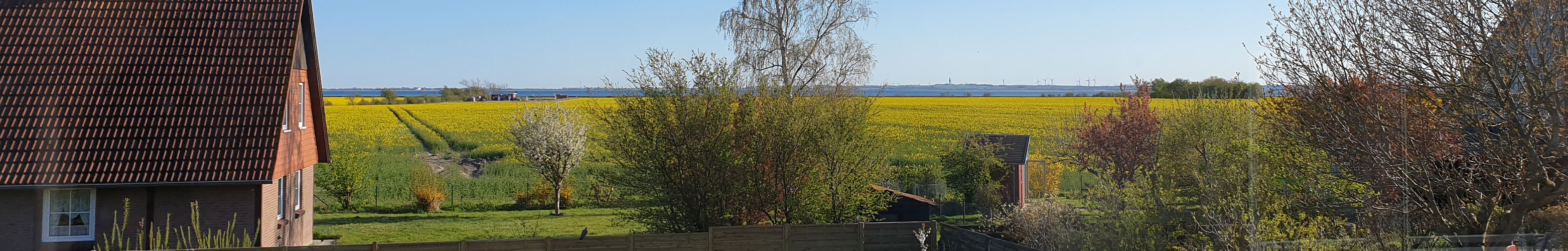 Ausblick vom Balkon ins Grüne