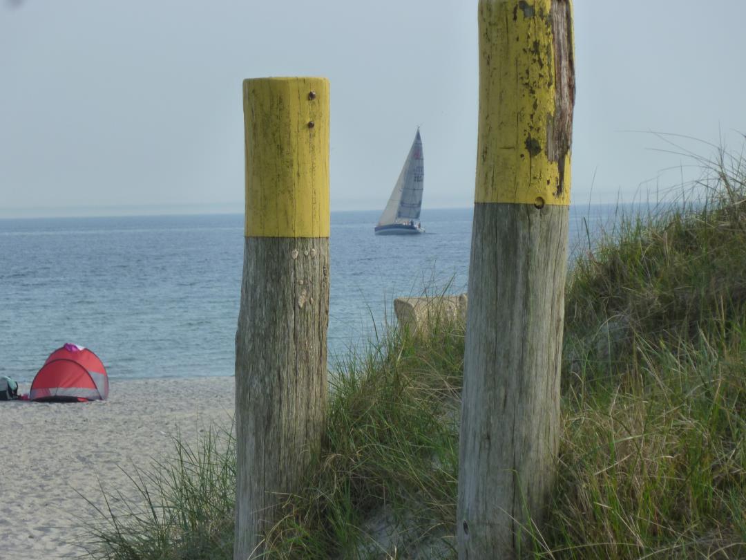 Dalben am Strand