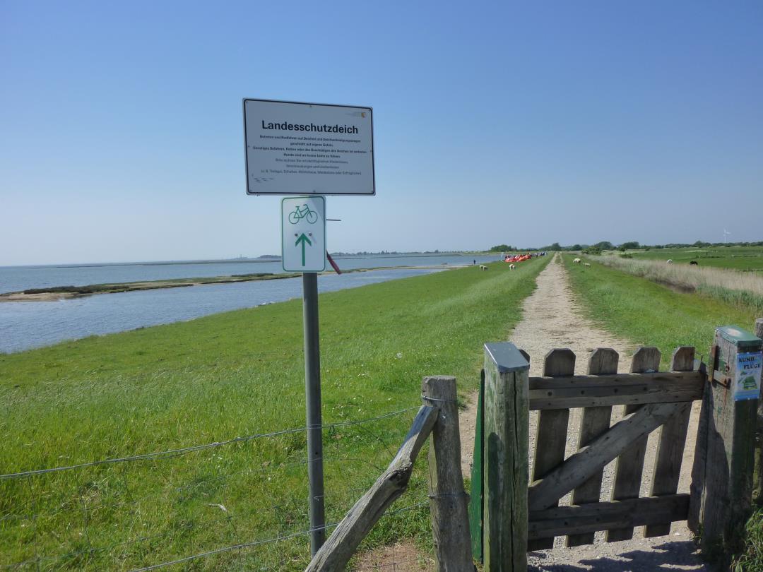 Weg am Deich