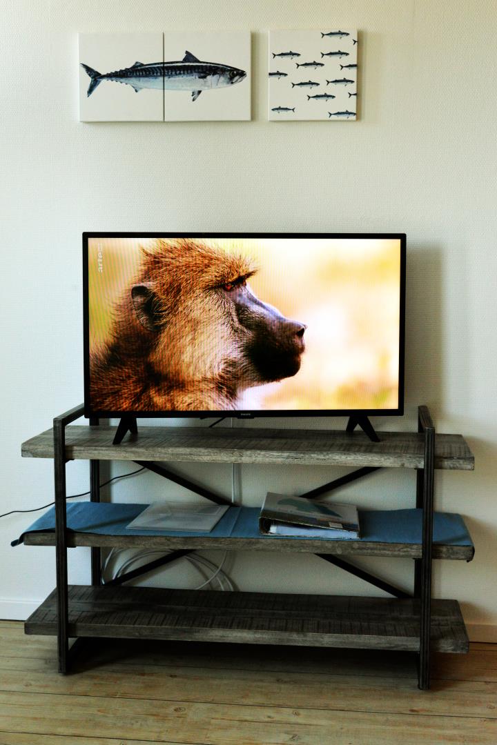 Flachbild TV