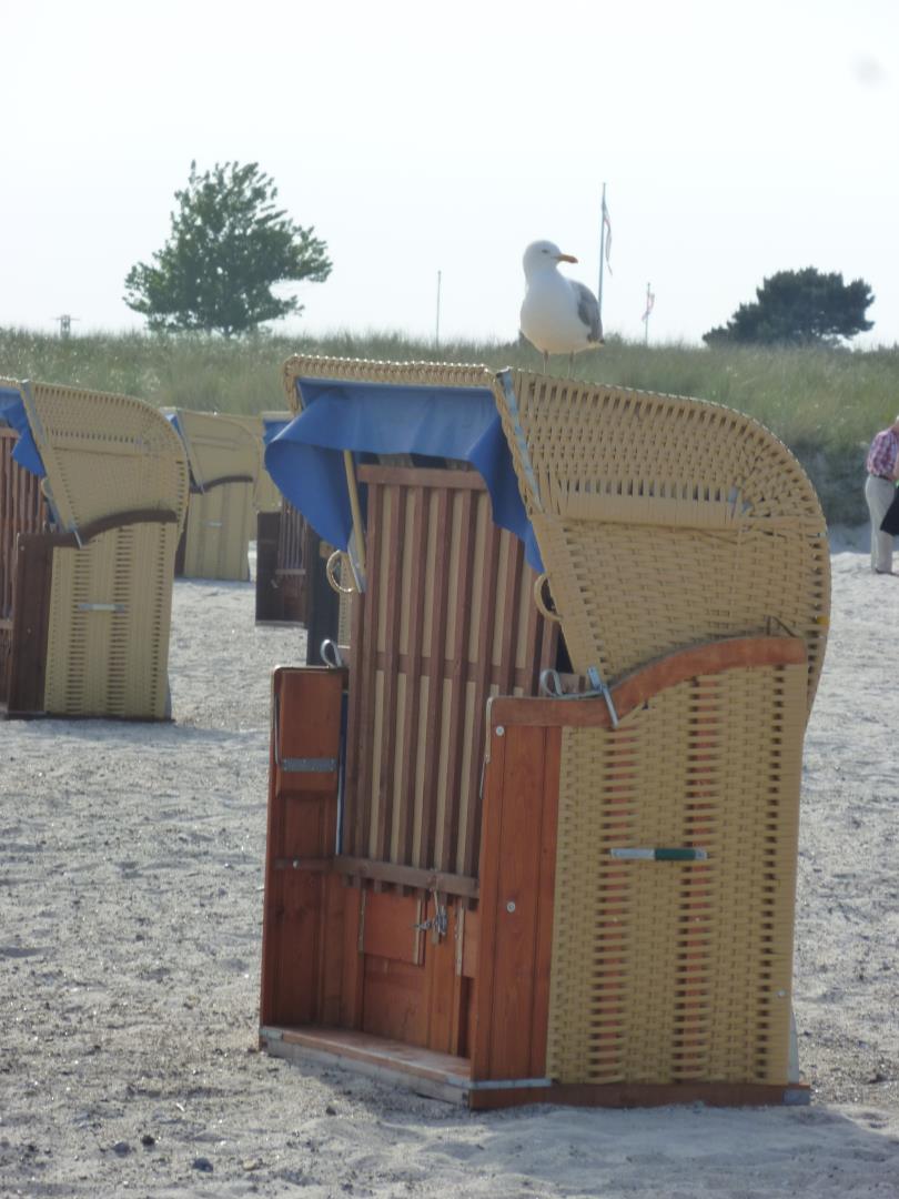 Strandkorb inklusive 